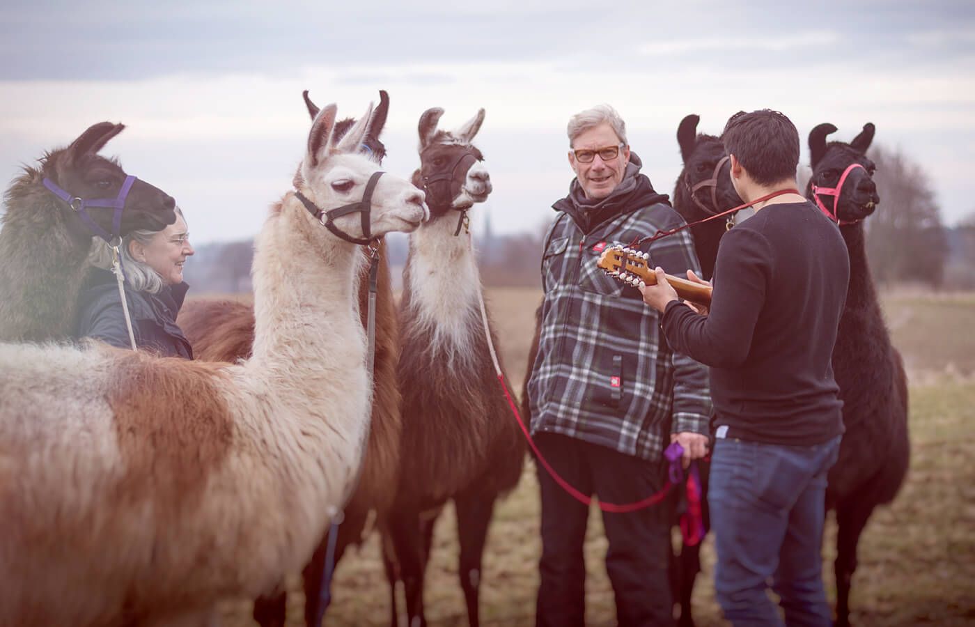 Musizieren mit Lamas