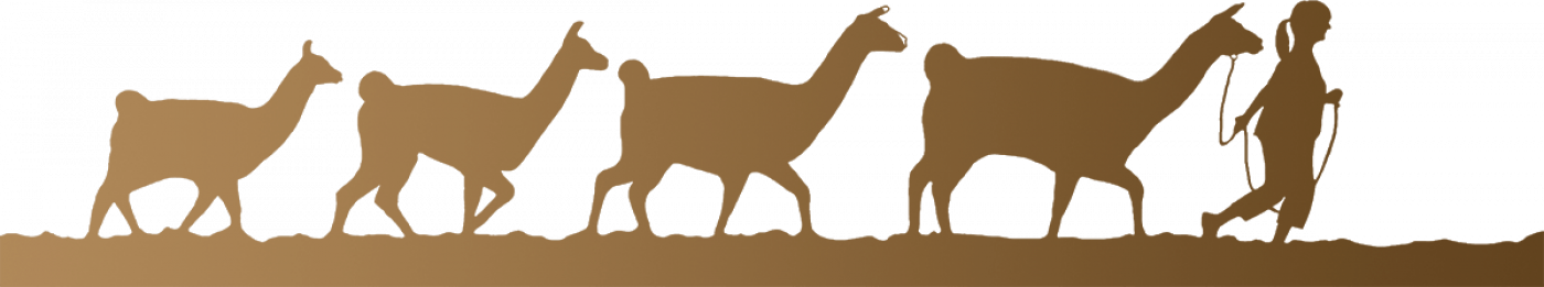 Lama-Karawane Gutschein