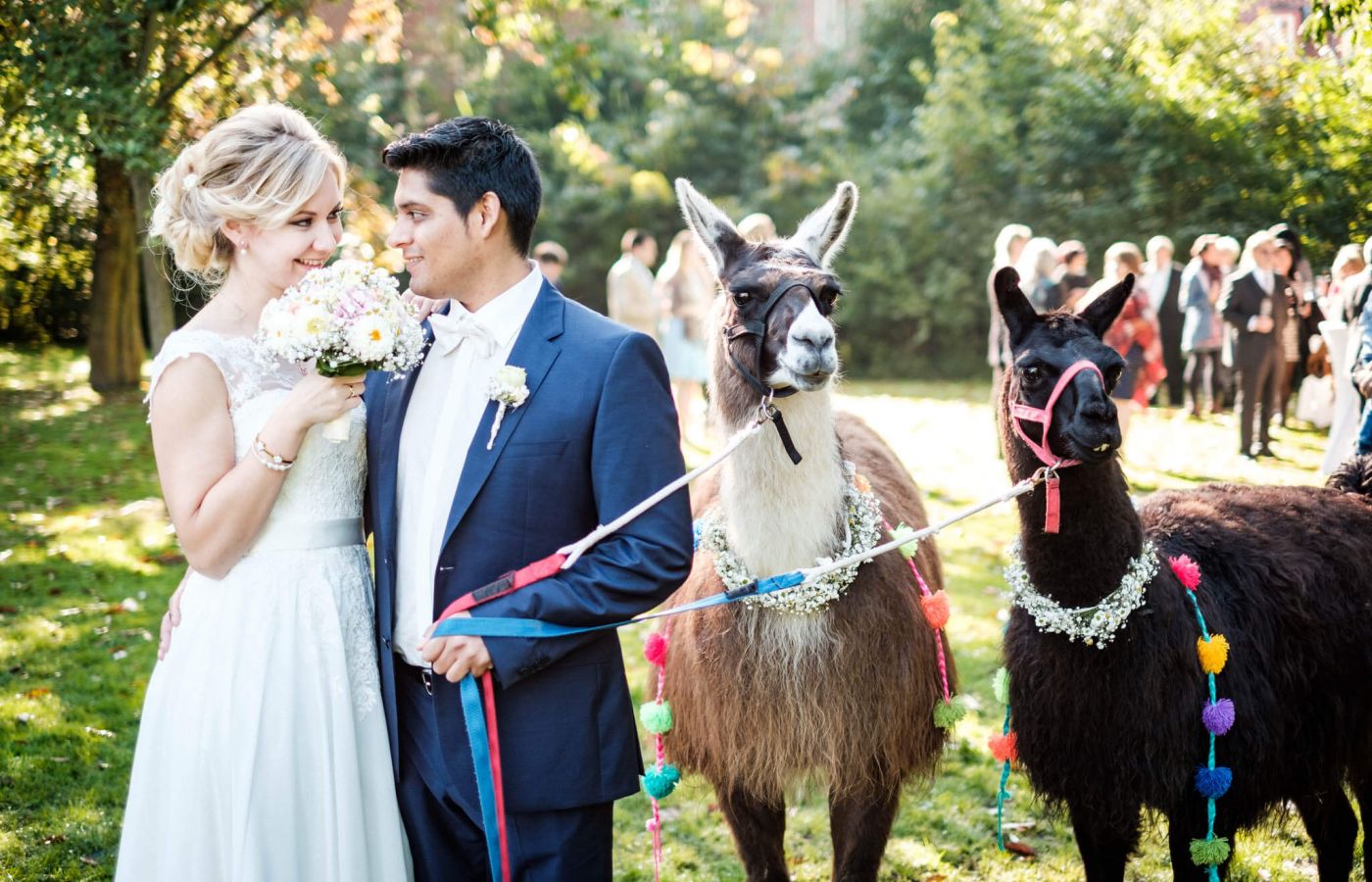 Hochzeiten mit der Lama-Karawane