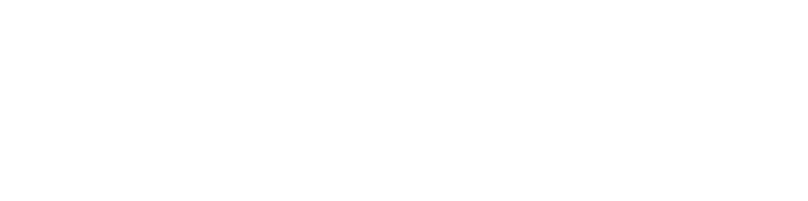 Lama-Karawane