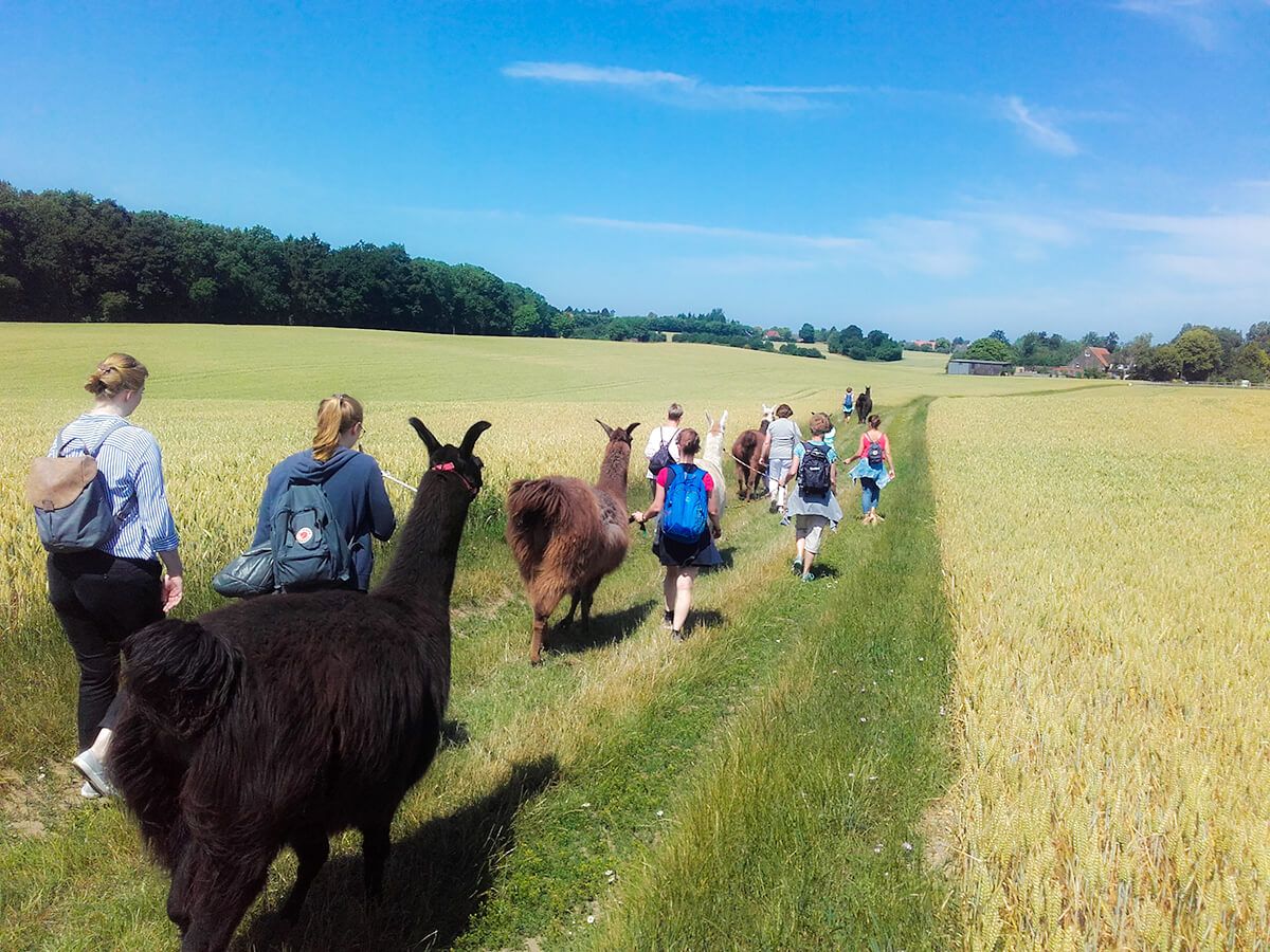 Freizeitaktivitäten mit Lamas